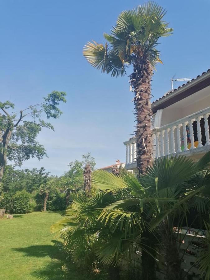 Apartment Villa Angelina, 70M From The Beach, Free Parking Novigrad Istria 외부 사진