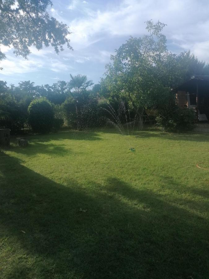 Apartment Villa Angelina, 70M From The Beach, Free Parking Novigrad Istria 외부 사진
