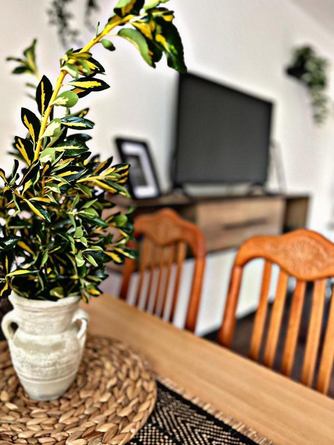 Apartment Villa Angelina, 70M From The Beach, Free Parking Novigrad Istria 외부 사진