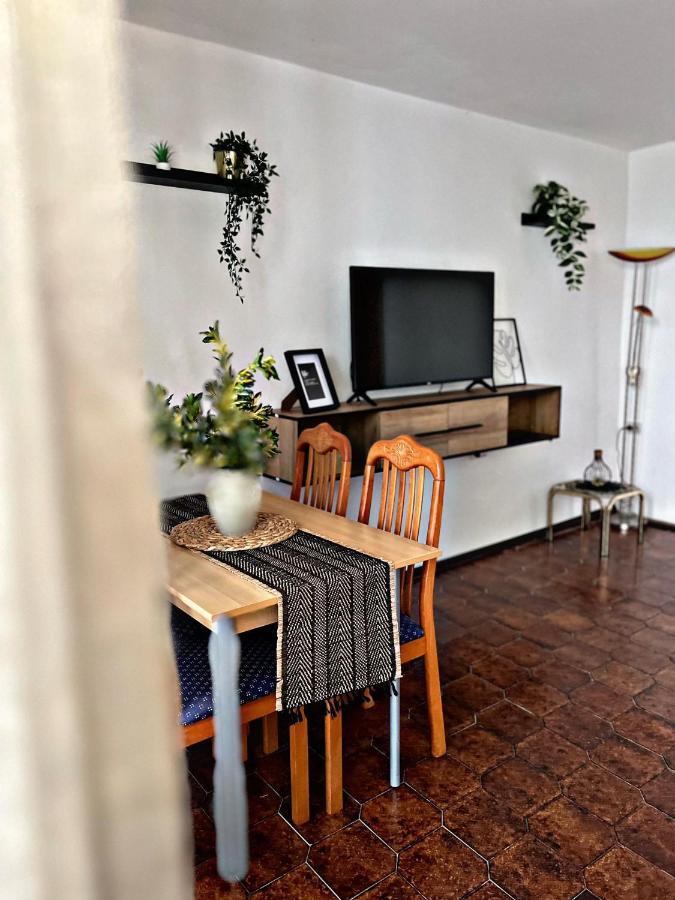 Apartment Villa Angelina, 70M From The Beach, Free Parking Novigrad Istria 외부 사진