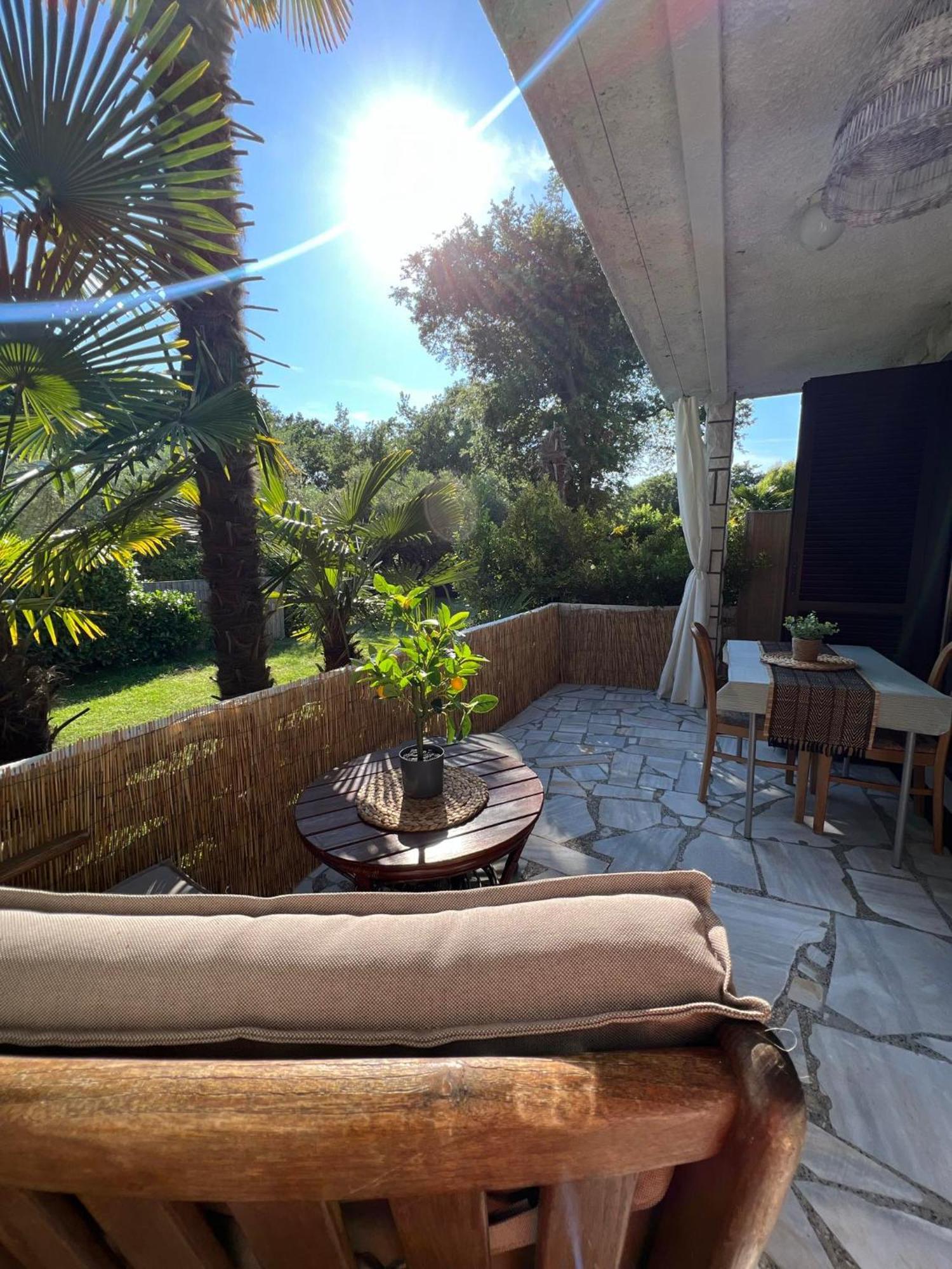 Apartment Villa Angelina, 70M From The Beach, Free Parking Novigrad Istria 외부 사진